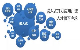 2016年嵌入式行業(yè)發(fā)展現(xiàn)狀與軟件開發(fā)趨勢(shì)分析
