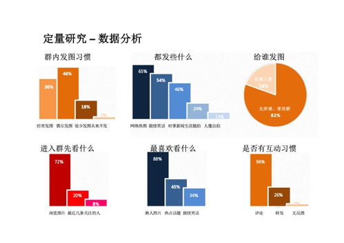 打造成功的互聯網產品PDF分享平臺 從需求到發布的軟件開發指南